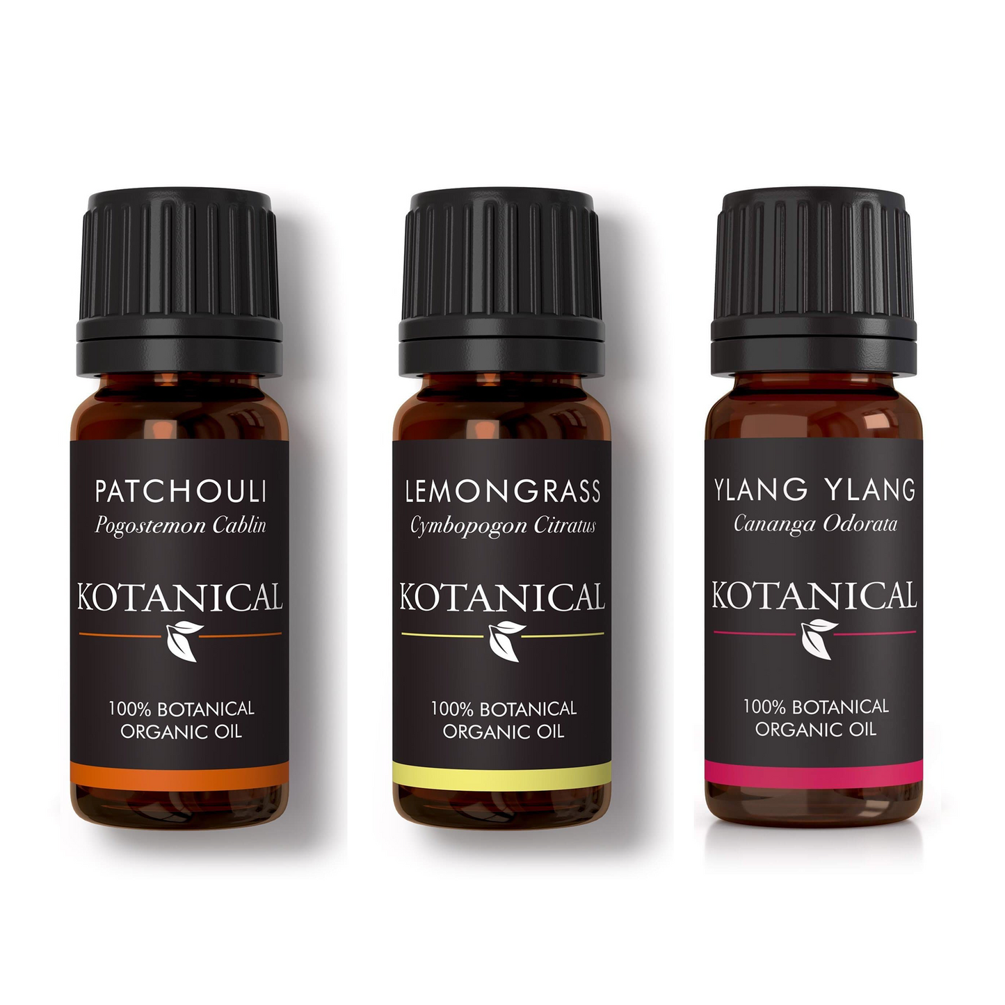 Bali Summer Escape Bundle