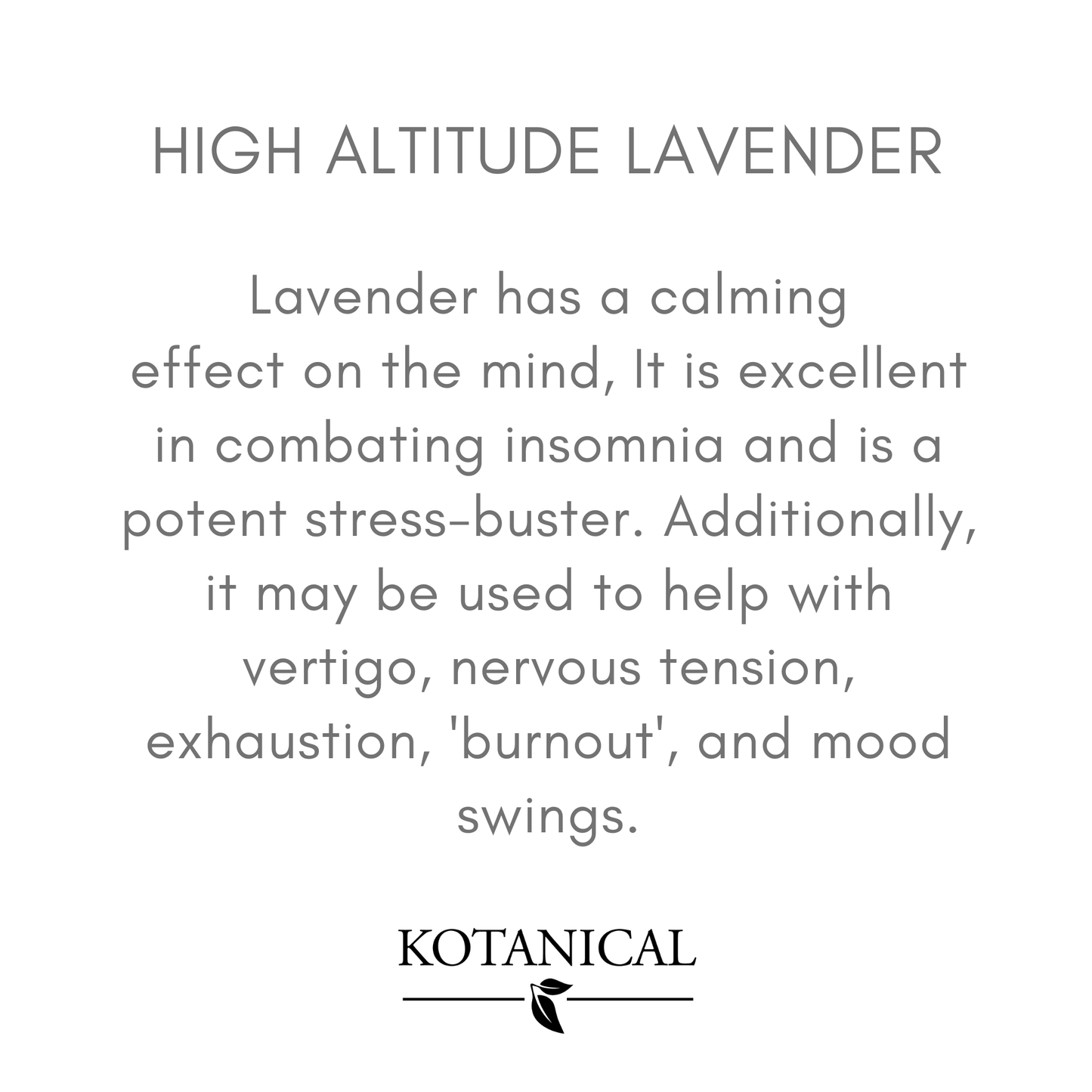 High Altitude Lavender Essential Oil