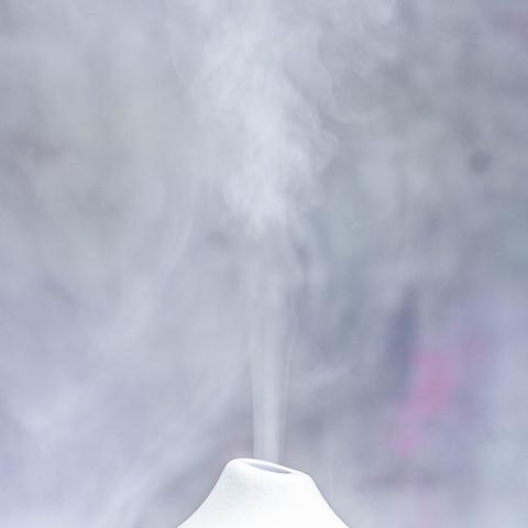 Are Diffusers Safe to Use Around Pets?