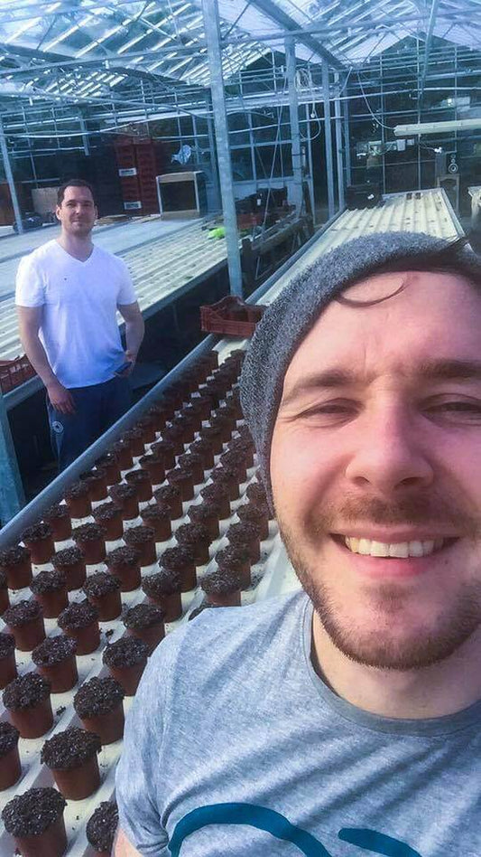 Starting our First Essential oil crop