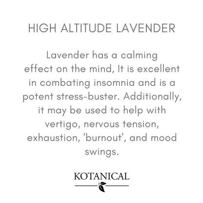 High Altitude Lavender Essential Oil