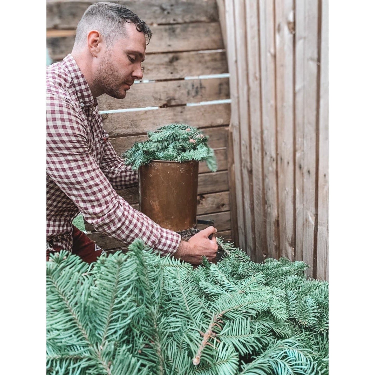 Forest Oil Diffuser Blend essential oil kotanical 