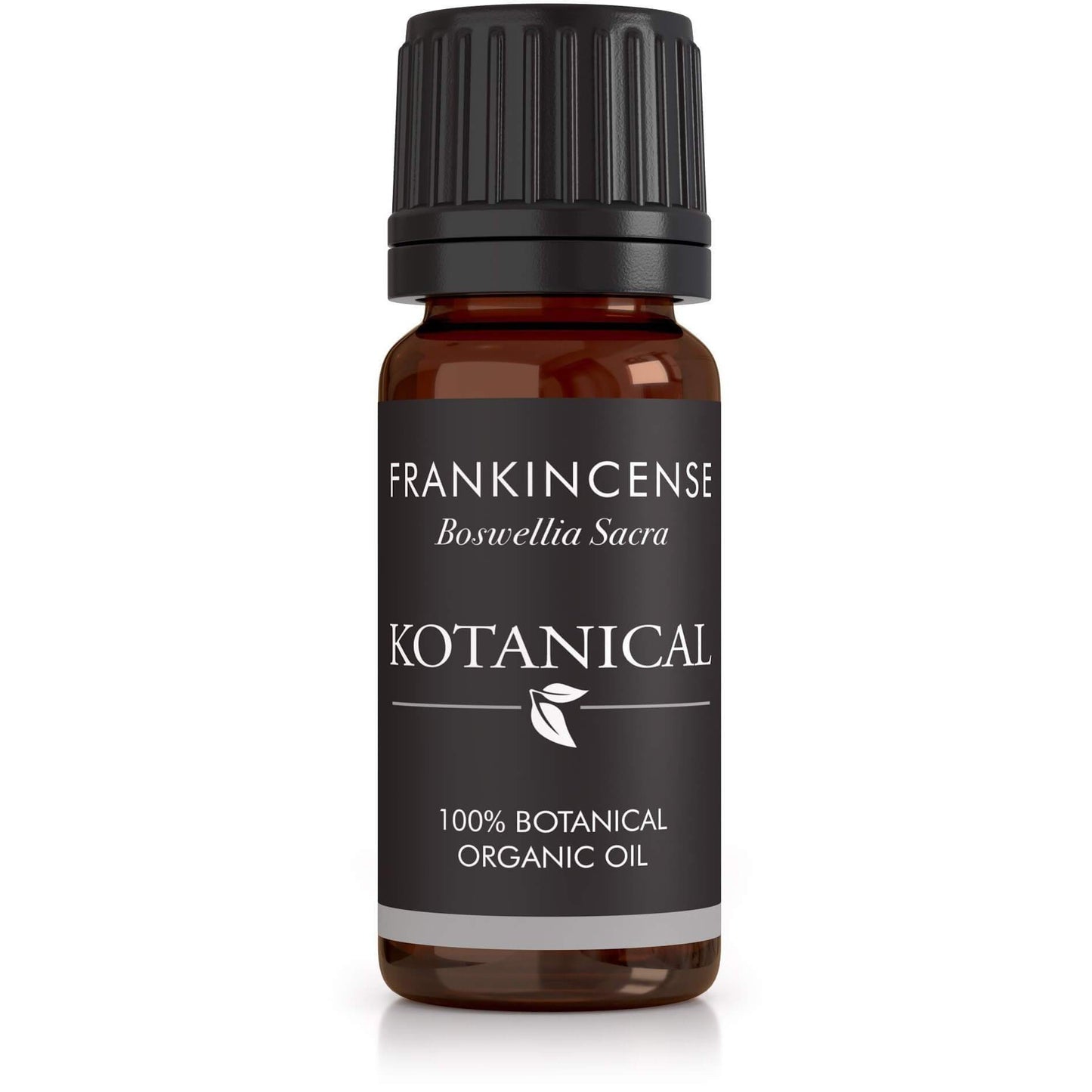 Frankincense Essential Oil kotanical 