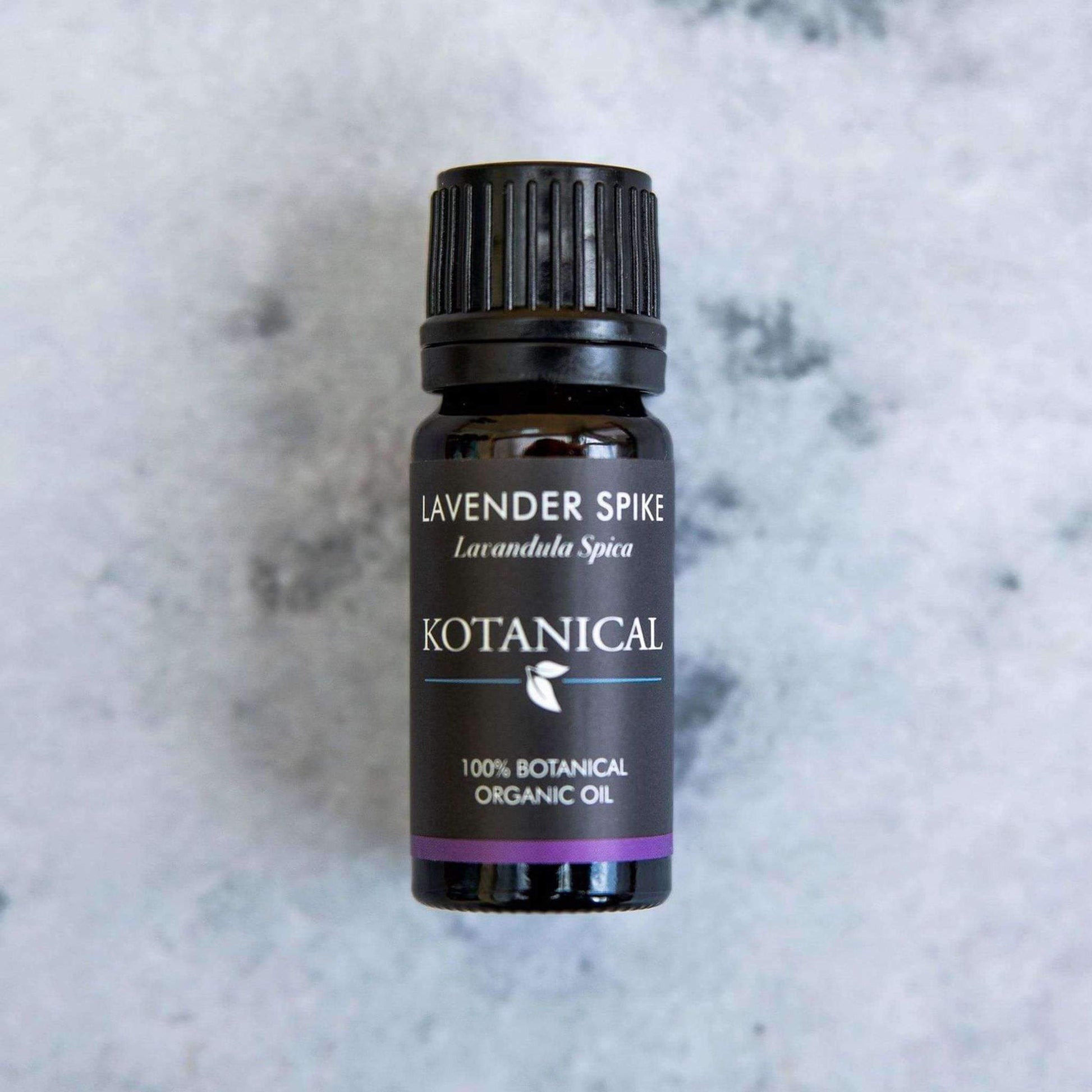 Lavender Spike Essential Oil kotanical 