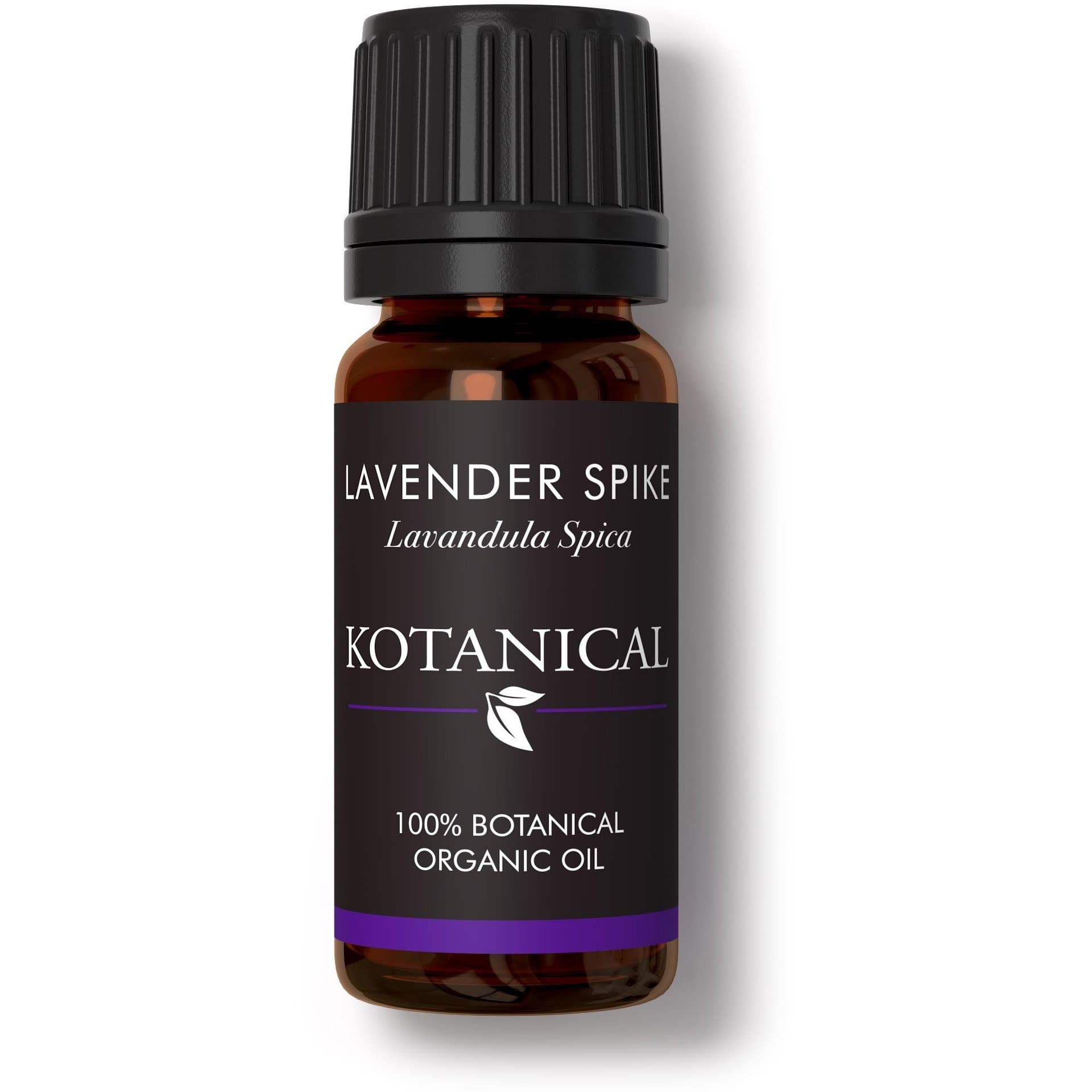 Lavender Spike Essential Oil kotanical 