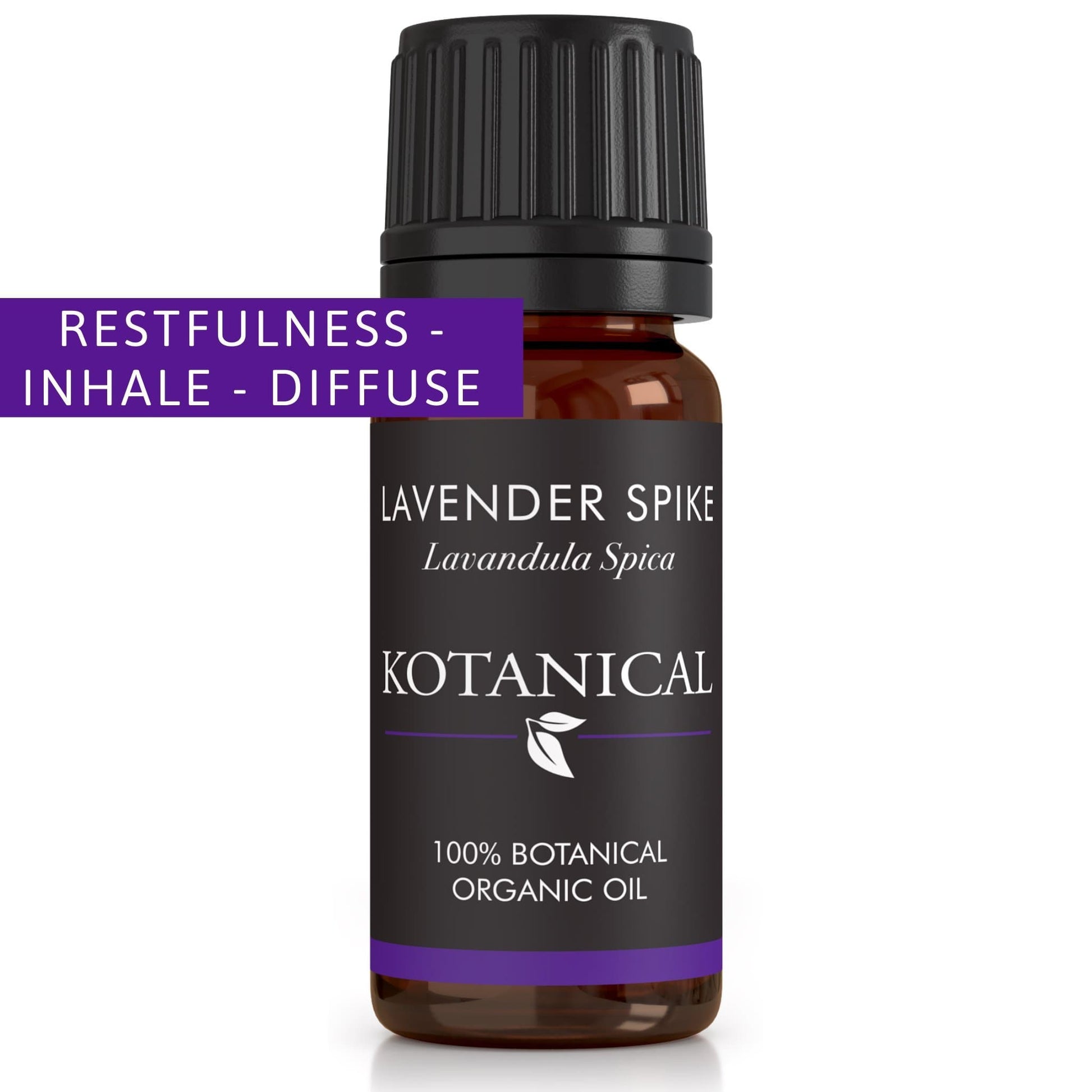 Lavender Spike Essential Oil kotanical 