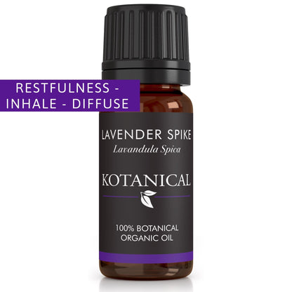 Lavender Spike Essential Oil kotanical 