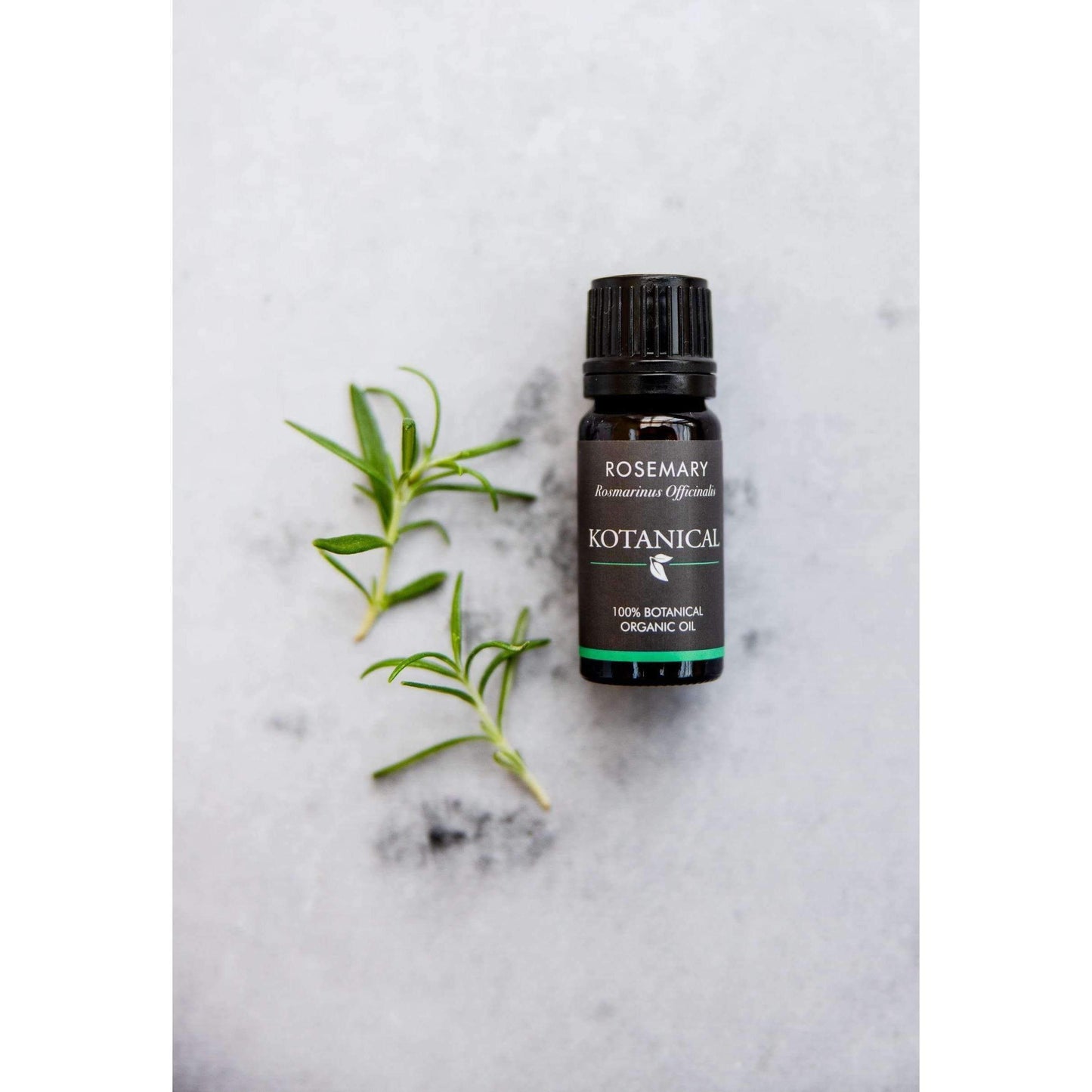 Rosemary Essential Oil kotanical 