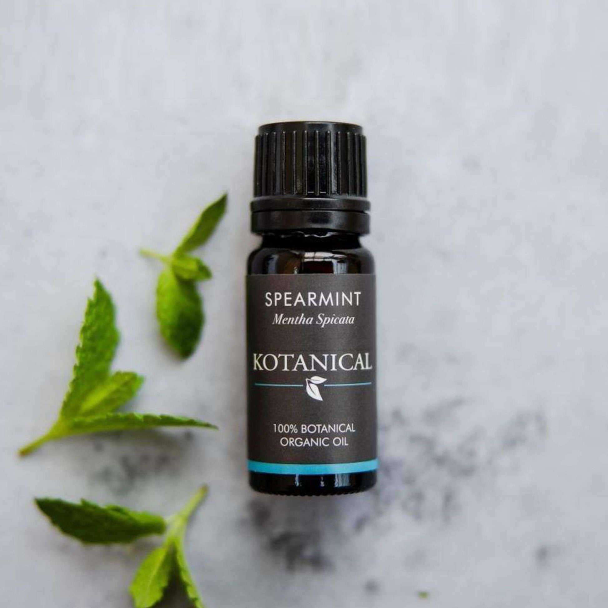 Spearmint Essential Oil kotanical 
