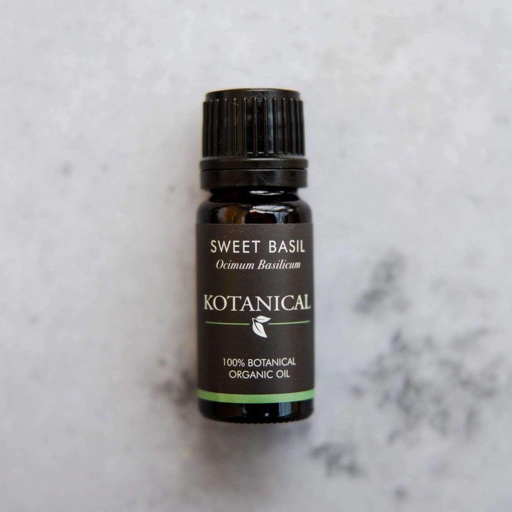 Sweet Basil Essential Oil kotanical 